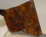 Chinese Pietersite Red Gold 3.0 oz lapidary slab (85 grams) - radiantrocksct