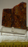 Chinese Pietersite Red Gold 3.0 oz lapidary slab (85 grams) - radiantrocksct