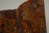 Chinese Pietersite Red Gold 3.0 oz lapidary slab (85 grams) - radiantrocksct