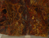 Chinese Pietersite Red Gold 3.0 oz lapidary slab (85 grams) - radiantrocksct