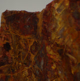 Chinese Pietersite Red Gold 3.0 oz lapidary slab (85 grams) - radiantrocksct