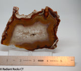 Condor Agate Lapidary Slab 4.6 oz (135 grams)