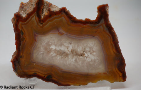 Condor Agate Lapidary Slab 4.6 oz (135 grams)