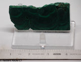 Chatoyant Congo Malachite slab