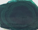 Chatoyant Congo Malachite slab - Radiant Rocks CT