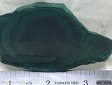 Chatoyant Congo Malachite slab - Radiant Rocks CT