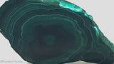 Chatoyant Congo Malachite slab - Radiant Rocks CT