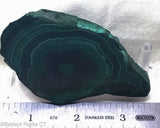 Chatoyant Congo Malachite slab - Radiant Rocks CT