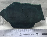 Chatoyant Congo Malachite lapidary slab 2.2 oz (60 grams) .