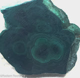 Chatoyant Congo Malachite lapidary slab 2.2 oz (60 grams) .