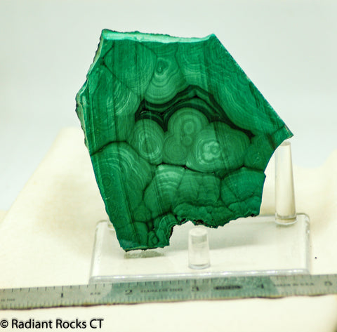 Congo Malachite lapidary heel slab 9.8 oz (285 grams)