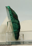 Congo Malachite lapidary heel slab 9.8 oz (285 grams)