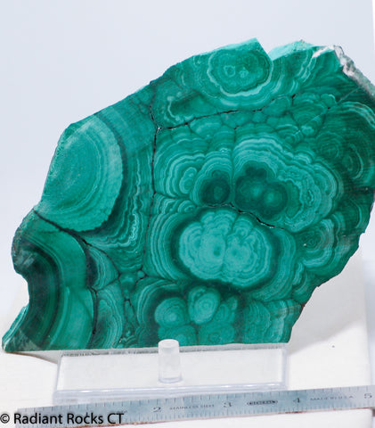 Congo Malachite lapidary slab 11.6 oz (330 grams)