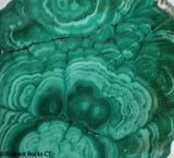 Congo Malachite lapidary slab 11.6 oz (330 grams)