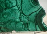 Congo Malachite lapidary slab 11.6 oz (330 grams)