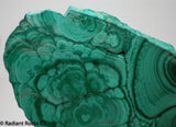 Congo Malachite lapidary slab 11.6 oz (330 grams)