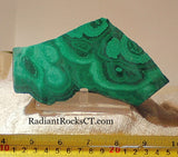 Congo Malachite lapidary heel slab 9.8 oz (275 grams) - radiantrocksct