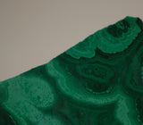 Congo Malachite lapidary heel slab 9.8 oz (275 grams) - radiantrocksct