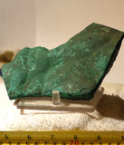 Congo Malachite lapidary heel slab 9.8 oz (275 grams) - radiantrocksct
