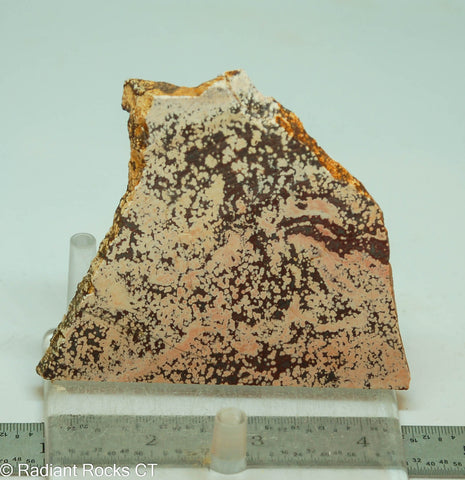 Cosmos Jasper Agate Slab - Radiant Rocks CT