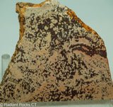 Cosmos Jasper Agate Slab - Radiant Rocks CT