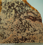 Cosmos Jasper Agate Slab - Radiant Rocks CT