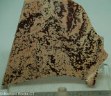 Cosmos Jasper Agate Slab - Radiant Rocks CT