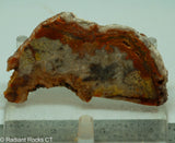 Crazy Lace Agate Lapidary Slab - Radiant Rocks CT