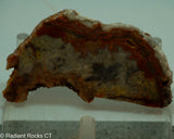 Crazy Lace Agate Lapidary Slab - Radiant Rocks CT