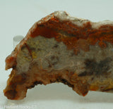 Crazy Lace Agate Lapidary Slab - Radiant Rocks CT