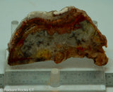 Crazy Lace Agate Lapidary Slab - Radiant Rocks CT