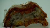 Crazy Lace Agate Lapidary Slab - Radiant Rocks CT