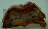 Crazy Lace Agate Lapidary Slab - Radiant Rocks CT