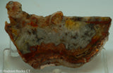 Crazy Lace Agate Lapidary Slab - Radiant Rocks CT