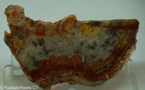Crazy Lace Agate Lapidary Slab - Radiant Rocks CT