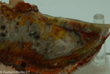 Crazy Lace Agate Lapidary Slab - Radiant Rocks CT