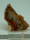 Crazy Lace Agate Lapidary Slab - Radiant Rocks CT
