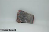 Banded Agate Cabochon Slab 0.7 oz (15 grams)