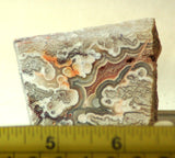 Crazy Lace Agate Cabochon face cut Slab Great patterns 1.6 oz (45 grams) - radiantrocksct