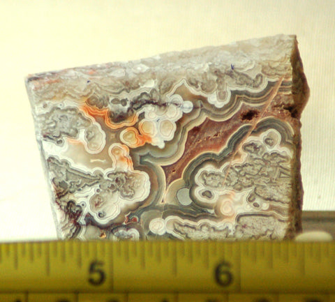 Crazy Lace Agate Cabochon face cut Slab Great patterns 1.6 oz (45 grams) - radiantrocksct