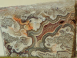 Crazy Lace Agate Cabochon face cut Slab Great patterns 1.6 oz (45 grams) - radiantrocksct