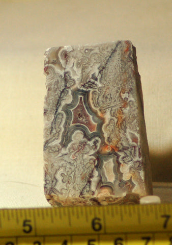 Crazy Lace Agate Cabochon heel Slab Great patterns 2.7 oz (76 grams) - radiantrocksct