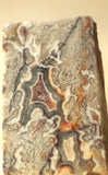 Crazy Lace Agate Cabochon heel Slab Great patterns 2.7 oz (76 grams) - radiantrocksct