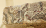 Crazy Lace Agate Cabochon heel Slab Great patterns 2.7 oz (76 grams) - radiantrocksct