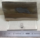 Cripple Creek Picture Jasper slab  - Radiant Rocks CT