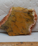 Dendritic Yellow Opal Lapidary Cabochon slab - Radiant Rocks CT
