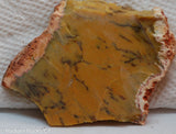 Dendritic Yellow Opal Lapidary Cabochon slab - Radiant Rocks CT