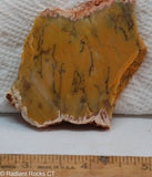 Dendritic Yellow Opal Lapidary Cabochon slab - Radiant Rocks CT