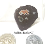 Montana Dryhead agate 0.8 oz  lapidary heel slab  (20 grams) - radiantrocksct
