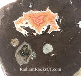 Montana Dryhead agate 0.8 oz  lapidary heel slab  (20 grams) - radiantrocksct